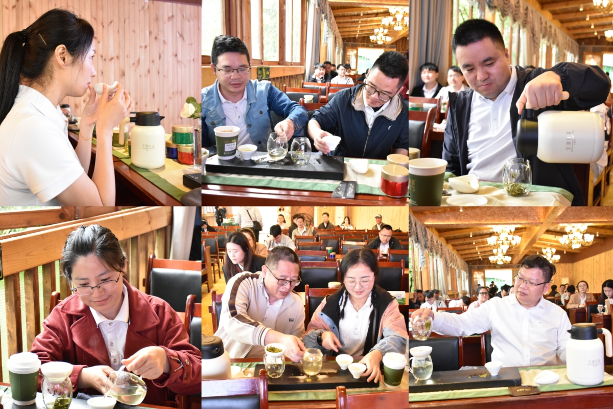 茶藝培訓(xùn)配圖 茶藝培訓(xùn)配圖